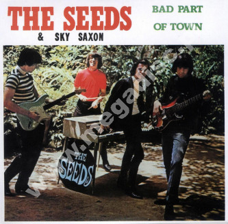 SEEDS / SKY SAXON - Bad Part Of Town - Rare Tracks 1963-1972 - FRA Eva Card Sleeve Edition