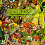 VARIOUS ARTISTS - Deep In The Woods - Pastoral Psychedelia & Funky Folk 1968-1975 (3CD) - UK Strawberry Digipack Edition - POSŁUCHAJ